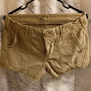 American Eagle Outfitters Tan Cargo Shorts